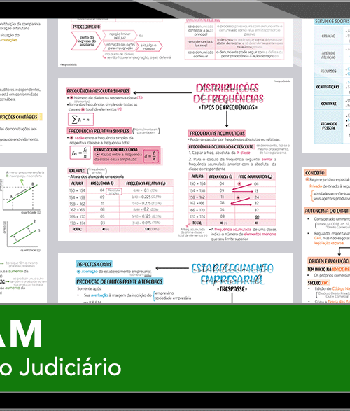 Mapas da Lulu. Os melhores e mais completos mapas mentais para o concurso de Técnico Judiciário do TJAM. Totalmente atualizados e com download liberado.