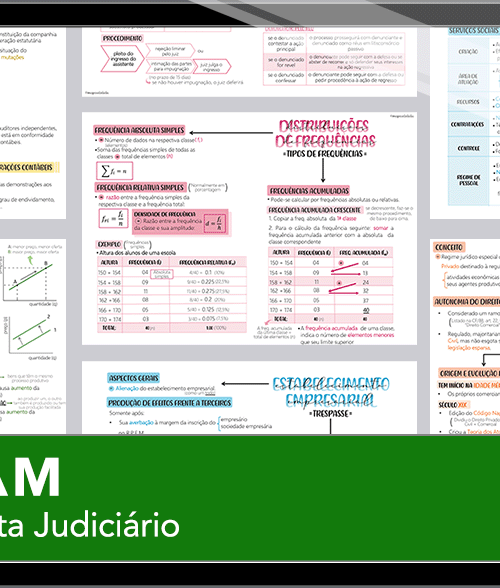 Mapas da Lulu. Os melhores e mais completos mapas mentais para o concurso de Analista Judiciário do TJAM. Totalmente atualizados e com download liberado.