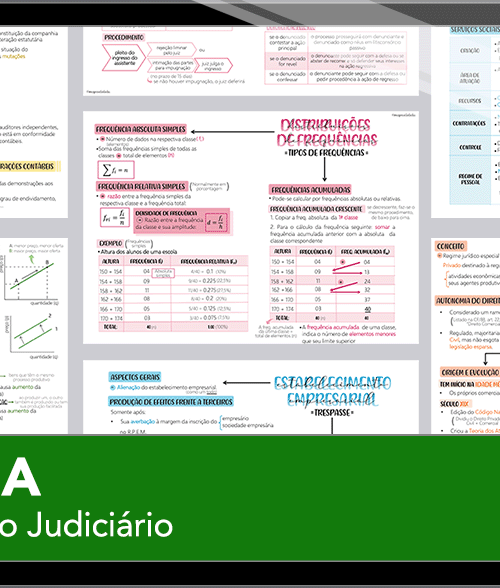 Mapas da Lulu. Os melhores e mais completos mapas mentais para o concurso de Técnico Judiciário do TJPA. Totalmente atualizados e com download liberado.