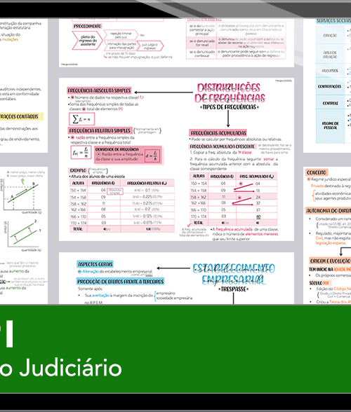 Mapas da Lulu. Os melhores e mais completos mapas mentais para o concurso de Técnico Judiciário do TJPI. Totalmente atualizados e com download liberado.