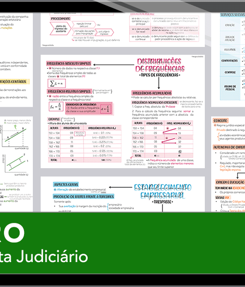 Mapas da Lulu. Os melhores e mais completos mapas mentais para o concurso de Analista Judiciário do TJRO. Totalmente atualizados e com download liberado.