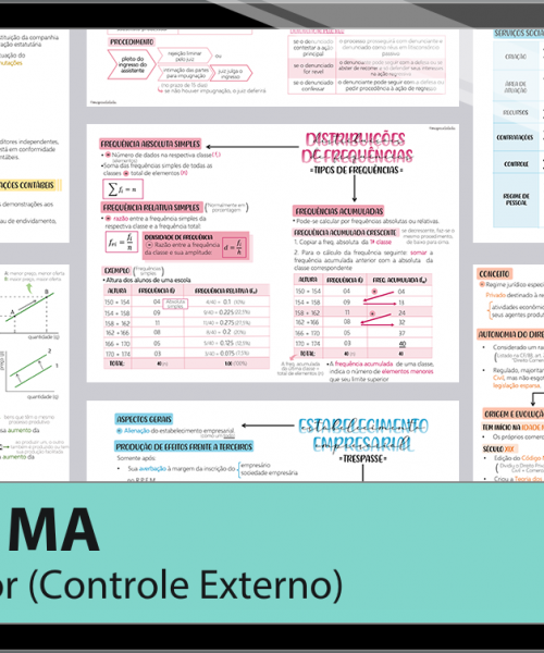 Mapas da Lulu. Os melhores e mais completos mapas mentais para o concurso de Auditor (Controle Externo) do TCE MA. Totalmente atualizados e com download liberado.