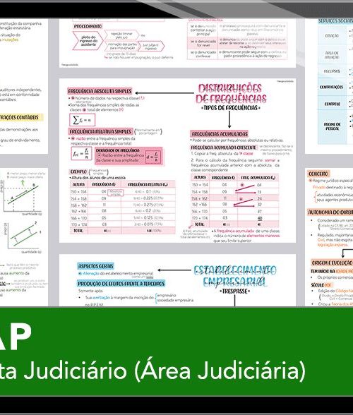Mapas da Lulu. Os melhores e mais completos mapas mentais para o concurso de Analista Judiciário do TJAP. Totalmente atualizados e com download liberado.