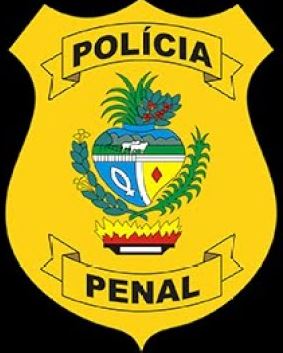 Concurso Polícia Penal GO