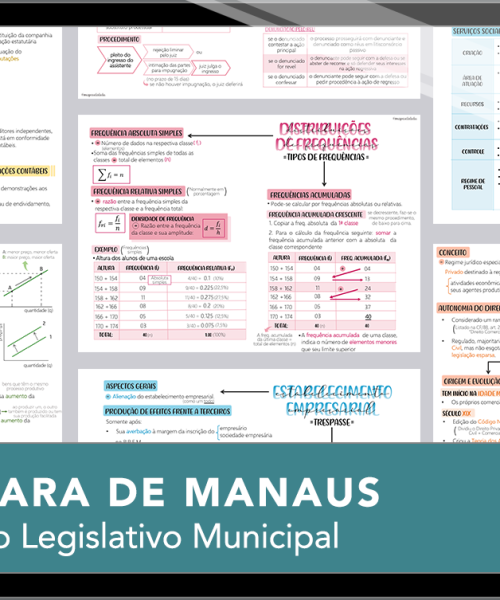 Mapas da Lulu. Os melhores e mais completos mapas mentais para o concurso de Técnico Legislativo da Câmara Municipal de Manaus/AM. Totalmente atualizados e com download liberado.