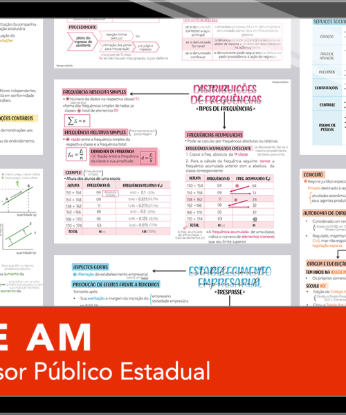 Mapas da Lulu. Os melhores e mais completos mapas mentais para o concurso de Defensor Público Estadual da DPE AM. Totalmente atualizados e com download liberado.