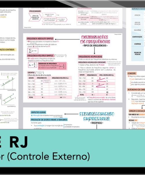 Mapas da Lulu. Os melhores e mais completos mapas mentais para o concurso de Auditor (Controle Externo) do TCE RJ. Totalmente atualizados e com download liberado.