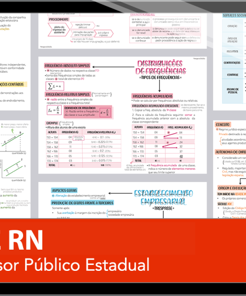 Mapas da Lulu. Os melhores e mais completos mapas mentais para o concurso de Defensor Público Estadual da DPE RN. Totalmente atualizados e com download liberado.