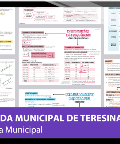 Mapas da Lulu. Os melhores e mais completos mapas mentais para o concurso Guarda Civil Municipal (GCM) de Teresina/PI. Totalmente atualizados e com download liberado.