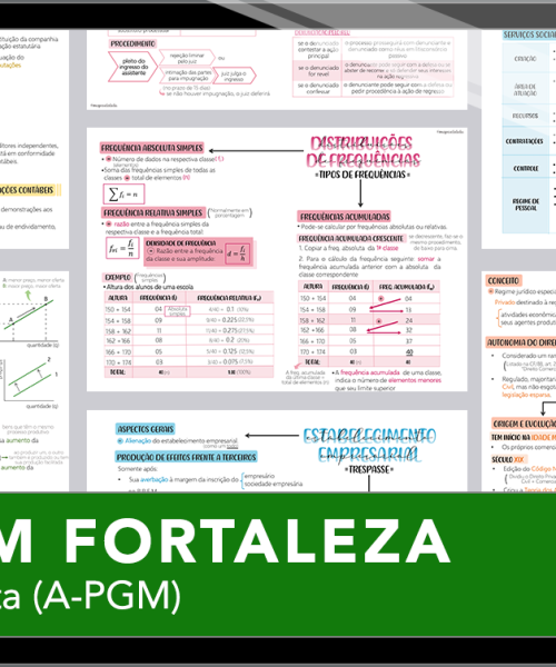 Mapas da Lulu. Os melhores e mais completos mapas mentais para o concurso de Analista (A-PGM) da Procuradoria-Geral do Município (PGM) de Fortaleza. Totalmente atualizados e com download liberado.