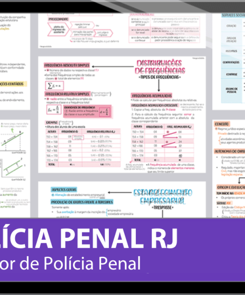 Mapas da Lulu. Os melhores e mais completos mapas mentais para o concurso da Polícia Penal do Rio de Janeiro (SEAP RJ). Totalmente atualizados e com download liberado.