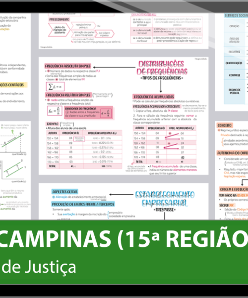 Mapas da Lulu. Os melhores e mais completos mapas mentais para o concurso de Analista (Oficial de Justiça) do TRT Campinas (15ª Região). Totalmente atualizados e com download liberado.