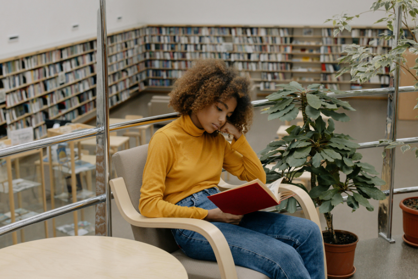 Mapas da Lulu. Livros Para Quem Estuda Para Concursos (Além do Conteúdo)