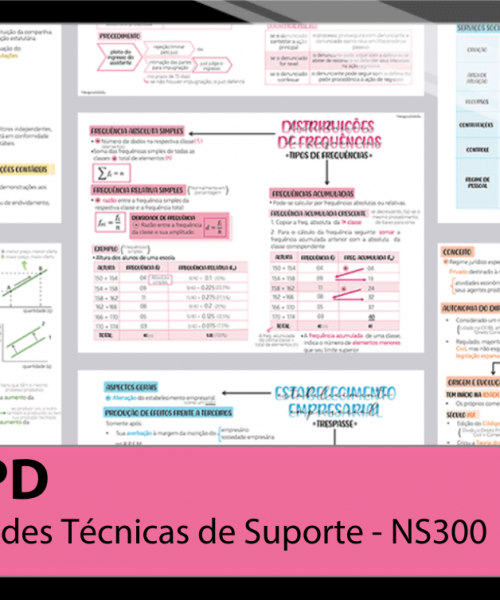 Mapas da Lulu. Os melhores e mais completos mapas mentais para o concurso para Atividades Técnicas de Suporte-NS 300 da ANPD. Totalmente atualizados e com download liberado.